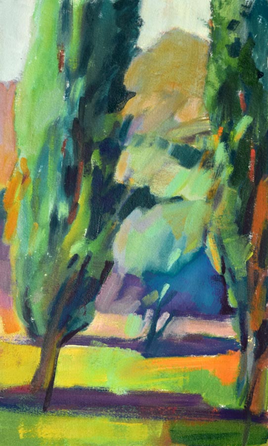 Cypress Peekaboo by Molly Preston